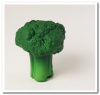 MFR-021 Broccoli